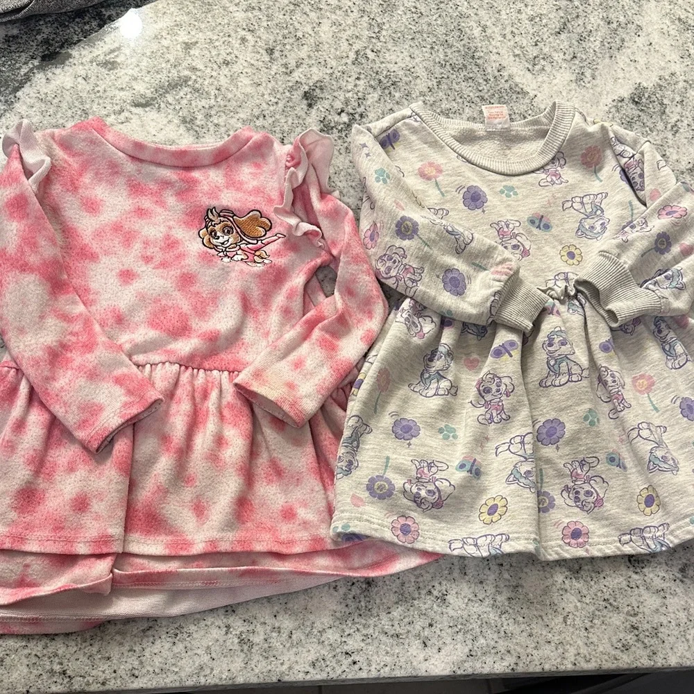 Paw‎ Patrol Skye Everest Girl sweatshirt dress bundle 2T and 3T lot of 2